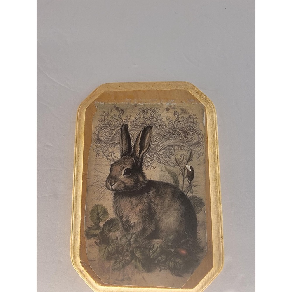 Rustic Bunny Rabbit Wood Plaque Wall Decor 5x7 Cottagecore Farmhouse Grandmacore - Picture 3 of 5